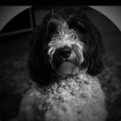 Foto de Lill Cunningham
