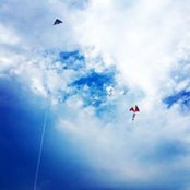 Dotty Lee's photo