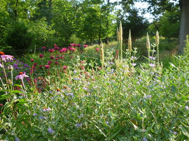 Rustic Landscape by The Crafted Garden