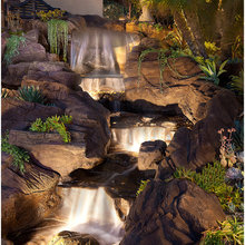 pond