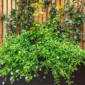 Fontenay-aux-Roses : Une terrasse de caractère entre élégance et verdure