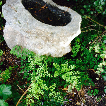 2017 Native Plant Garden Tour