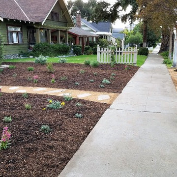Bird & Butterfly Garden: Monrovia front/back yard
