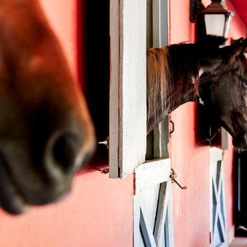 My Houzz: Blue Stallion Farm