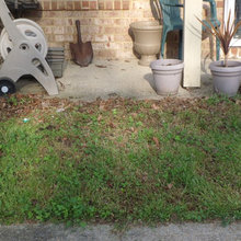 Landscape Ideas