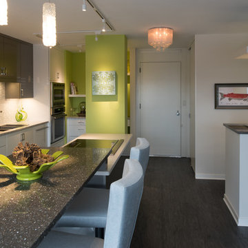 Urban Contemporary Condo Kitchen