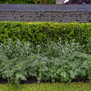 Rooftop Gardens