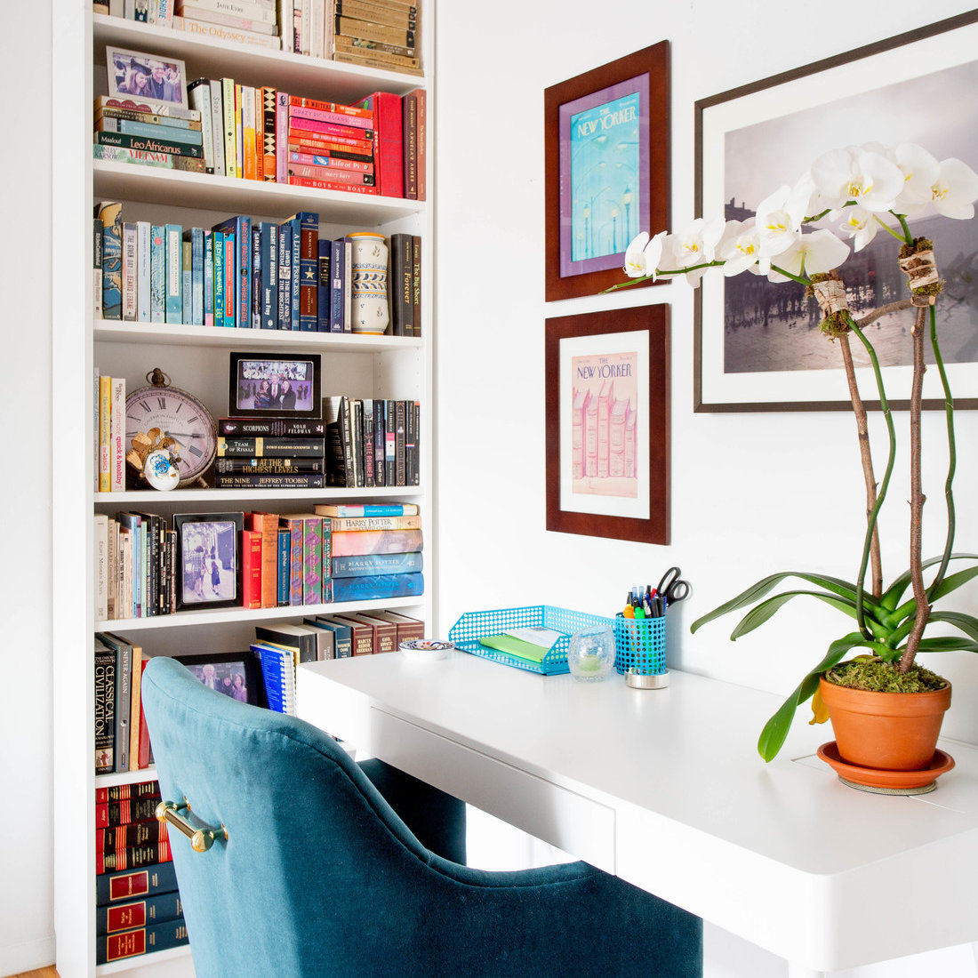Smartly Selected Styling