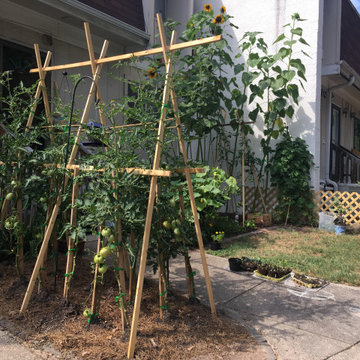 Home Urban Garden