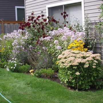 Late Summer Garden