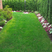 side yard