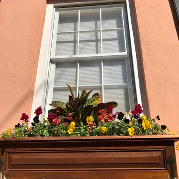 Southern Window Boxes
