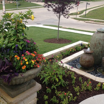 Summer Containers