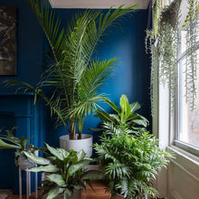 Plant Design
