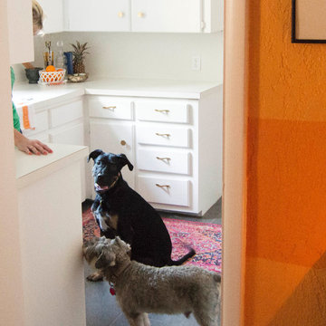 Putnam Heights Kitchen Makeover