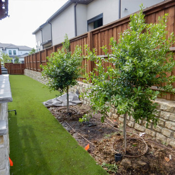 Evergreen Trees & Shrubs