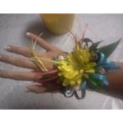 Sarah Chitwood's photo