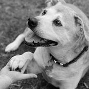 Kimberly Nester's photo