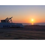 Nancy Napoli's photo