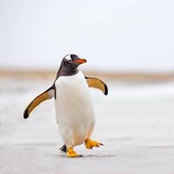 Jennifer Hogan's photo