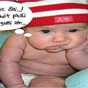 Timtoletgo Les foto