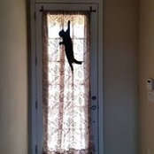 Leslie Strenth's photo