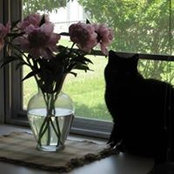 Melissa Grabske's photo