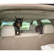 Kim Keleher's photo