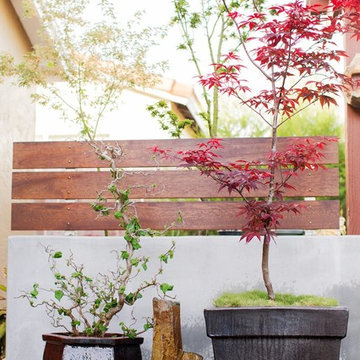 Zen Garden and Asian Inspired Landscape Plants