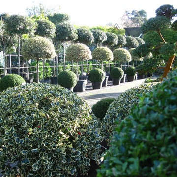 Nuthurst Nursery Photos
