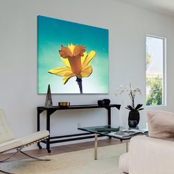 Daffodil 2 Happy - Products