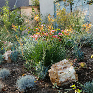 Mittelgroßer Eklektischer Vorgarten mit direkter Sonneneinstrahlung und Natursteinplatten in Los Angeles