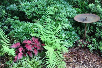 This is an example of a transitional landscaping in Atlanta.