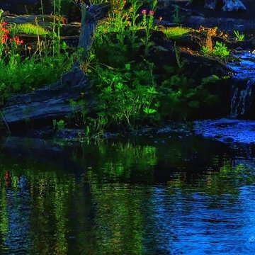 Natural Garden Pond