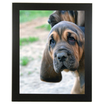 Wide Satin Black Picture Frame, 1 1/2" Wide, Empty Frame, 8x10