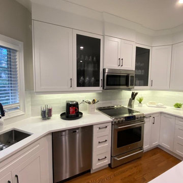 Complete Kitchen Remodel - Mississauga