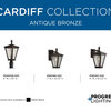 Cardiff Collection 1-Light Post Lantern with DURASHIELD