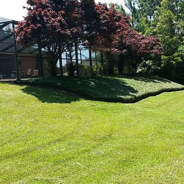 Residential lawn maintenance