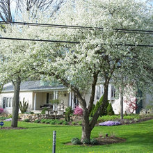 Landscape Ideas