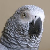 Andrew Shore's photo