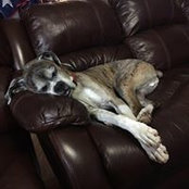Dave Smits's photo