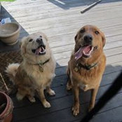 Jason Hoffman's photo