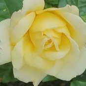 Debra Poynter's photo