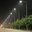 Wei Feng LED Lighting Co., Limited