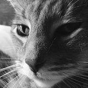 Julie Windschitl's photo