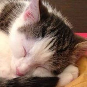 Vicki Singer's photo
