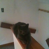 Nancy Ferrara's photo