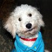 Todd Whitefleet's photo
