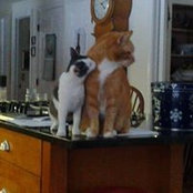 Janet Hingston Sinasky's photo