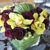 Kate Alessi's photo